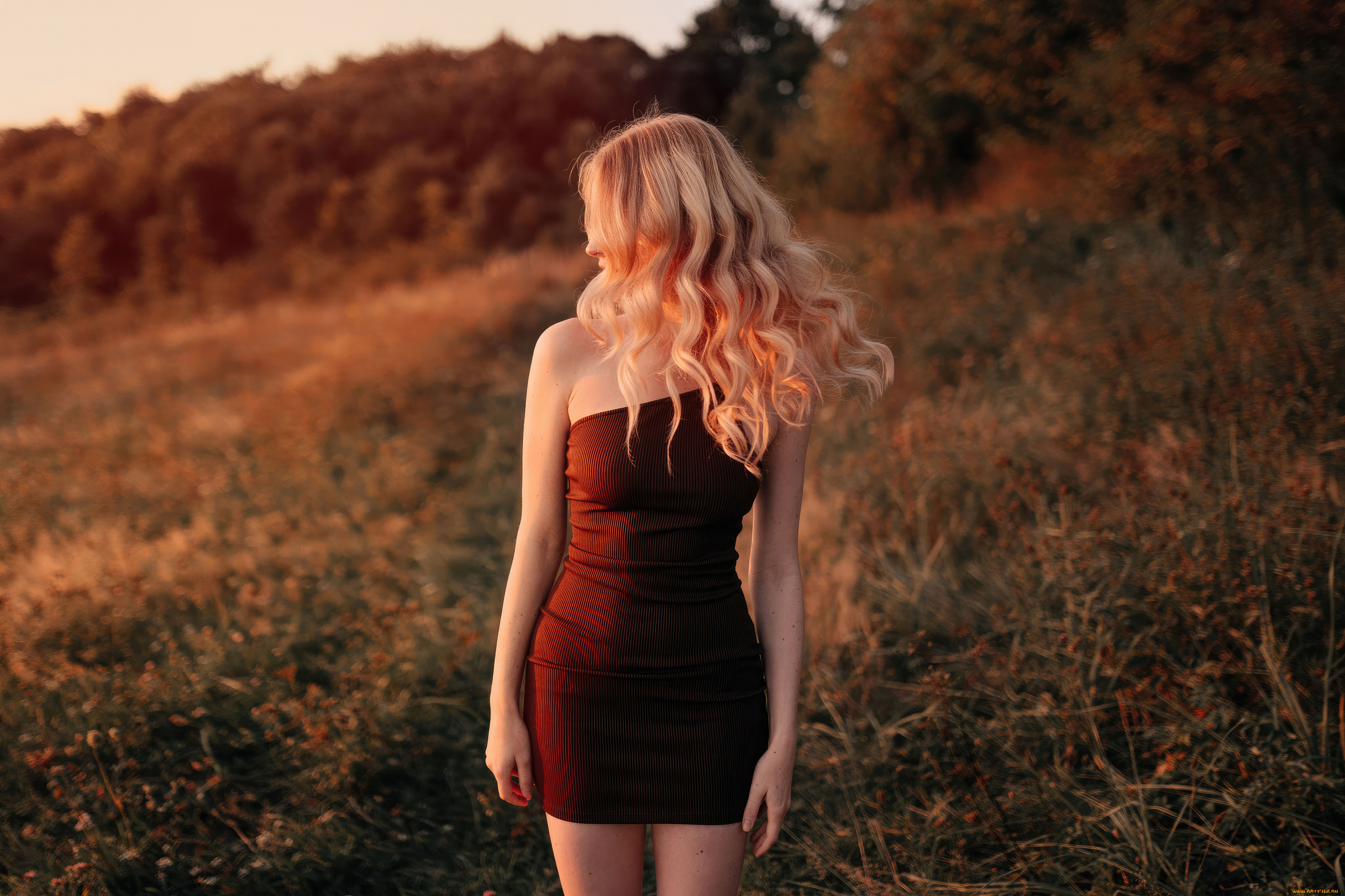 ����������� �������, �������, - ���������,  �������������, �������, �������, ���������, �������������, �����������, ������, ������, ��������, ������, �����, �������, ��������, ������, ������, �����������, �����, �����, ������, ��������, �����, ����������, ������, �, ���������, ���������, ��, ����������